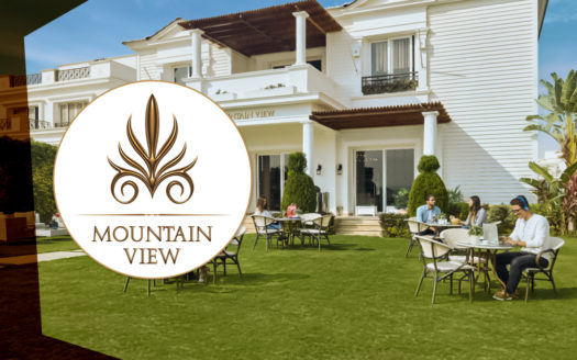 Mountain-View