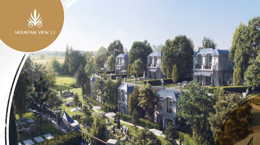 Mountain View 1.1 extension