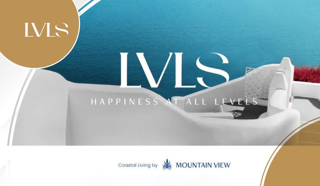 LVLS Mountain View New project